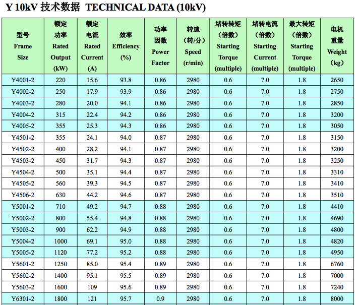 Y10kV中型高壓電機(jī)技術(shù)數(shù)據(jù)1