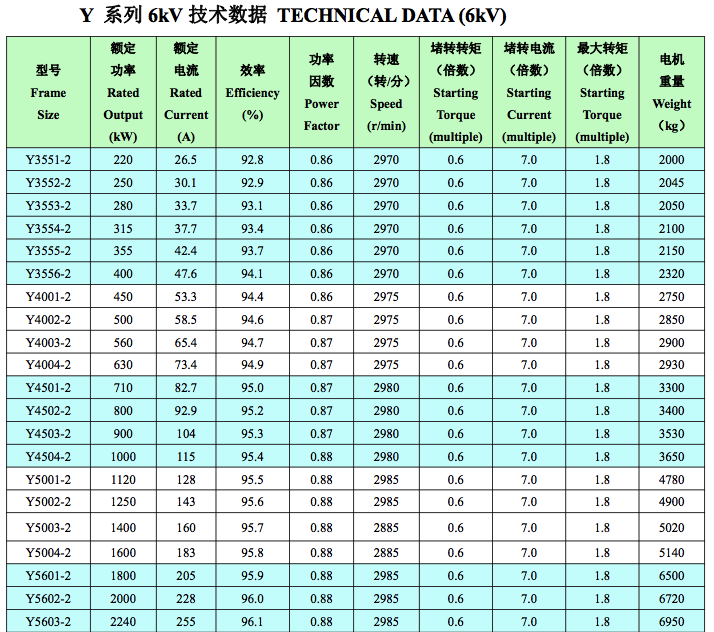 Y6kV中型高壓電機(jī)技術(shù)數(shù)據(jù)1